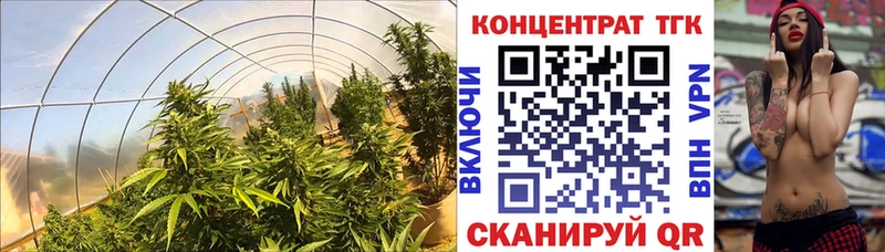 Купить закладки  Лукоянов  ТГК жижа 
